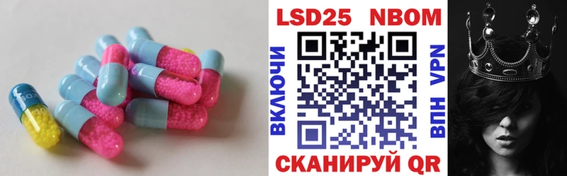 Лсд 25 экстази ecstasy  где купить   Злынка 
