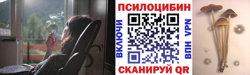 купить  цена  Злынка  Галлюциногенные грибы прущие грибы 